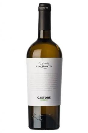 Cincinnato - Castore Bellone 2023