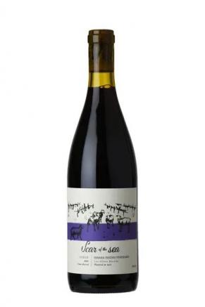 Scar Of The Sea - Syrah 2024